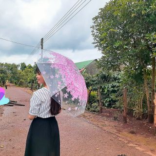 Dù trong suốt hoa nhí
