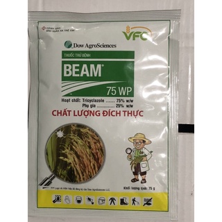BEAM chất lượng đích thực
