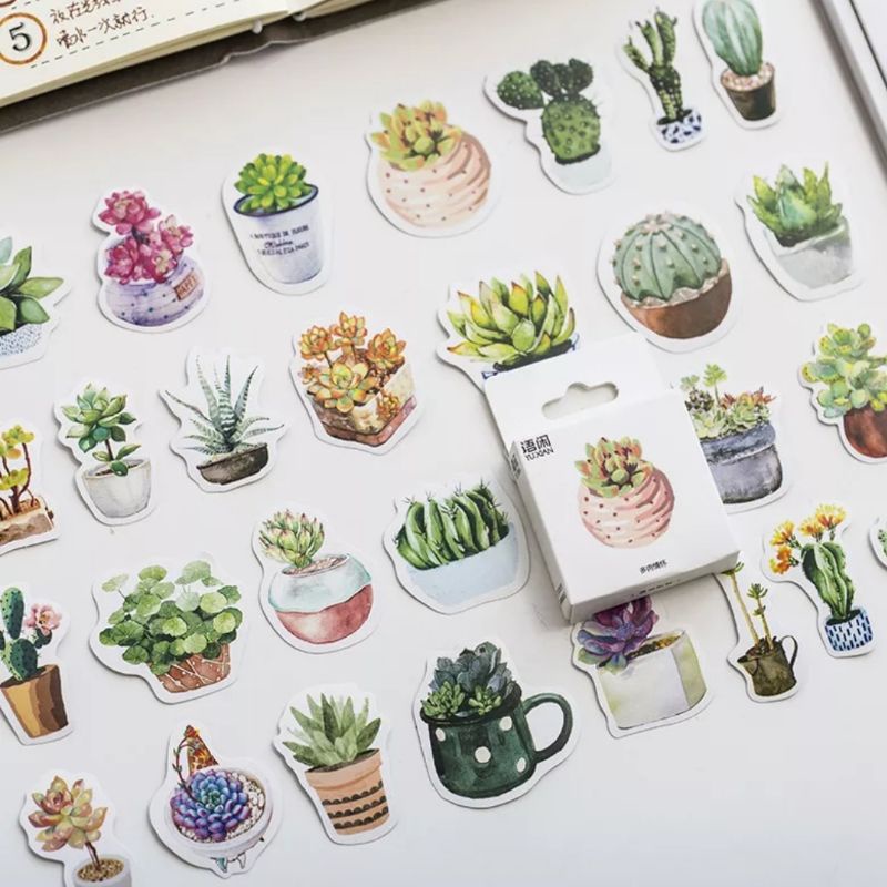 STICKER chậu sen đá hộp 45 miếng dán trang trí sổ tay, điện thoại, laptop - S06