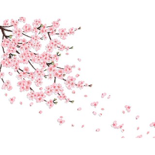 Decal dán tường dán kính cành đào xuân 2 BINBIN PK591 (Có keo sẵn)