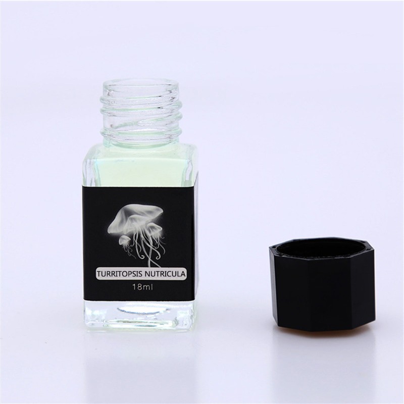 Lọ mực tàng hàng 18ml độc đáo