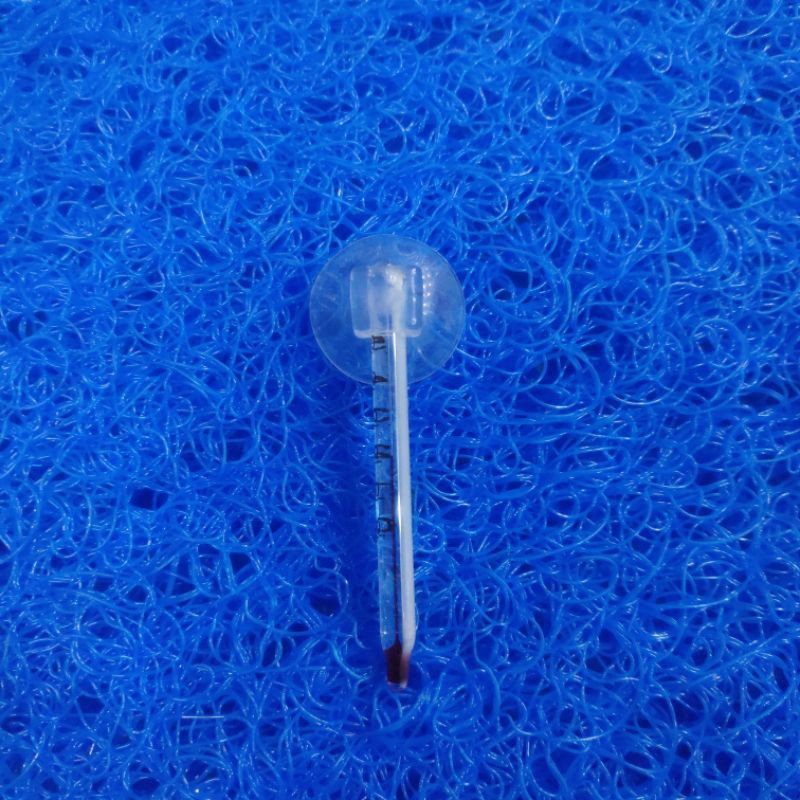 Nhiệt kế ngắn cho bể mini | Nhiệt kế lùn 6cm