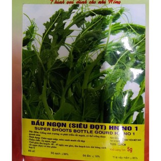 HẠT BẦU NGỌN SIÊU ĐỌT N0.1 - GÓI 5 GRAM