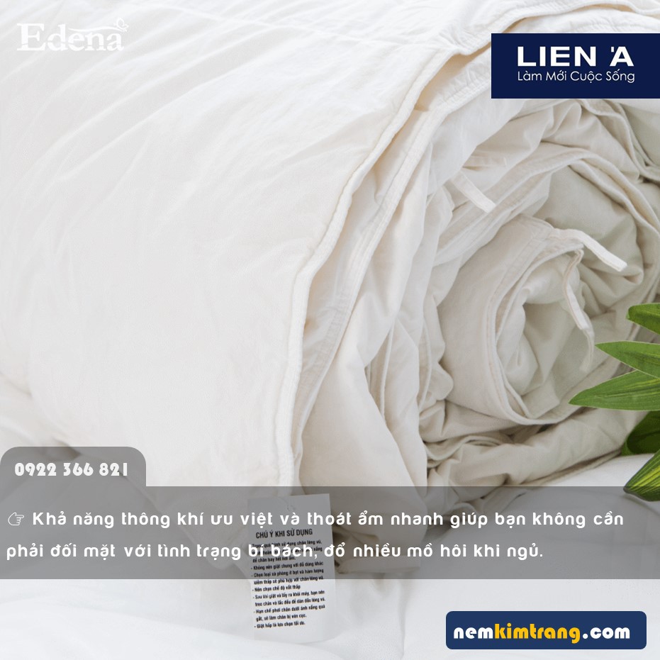 Ruột Chăn Lông Vũ Edena - CHÍNH HÃNG