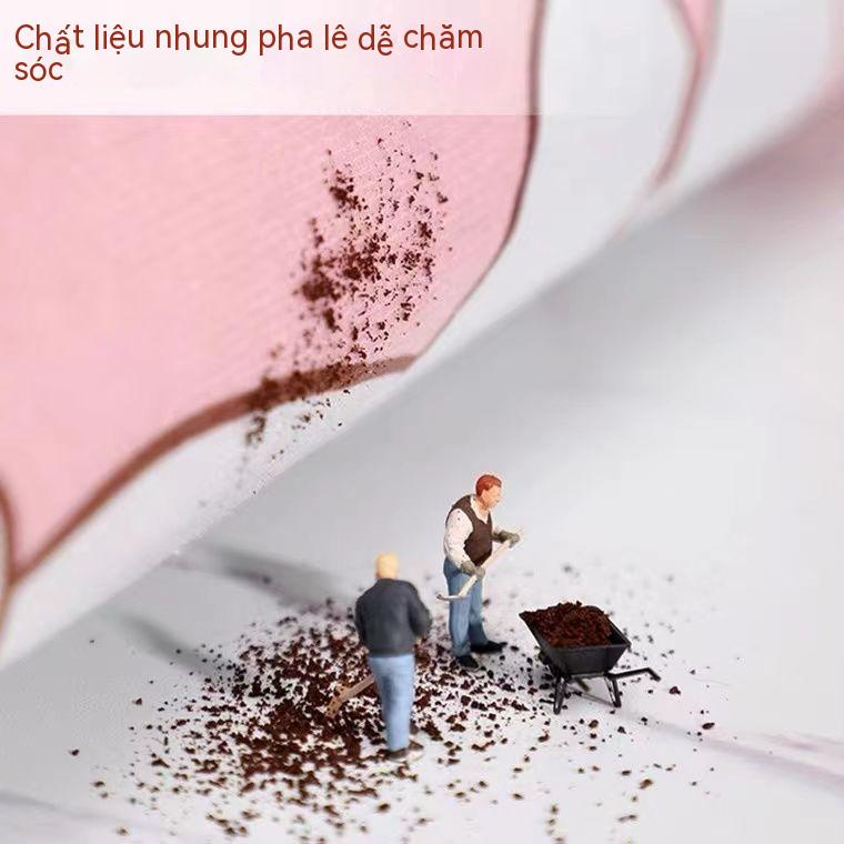Thảm Trải Sàn Phòng Khách Sang Trọng Dùng Một Lần