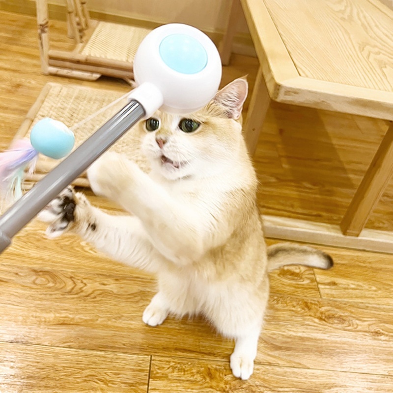 Gậy Đồ Chơi Gắn Lông Vũ Tập Tương Tác Thú Cưng