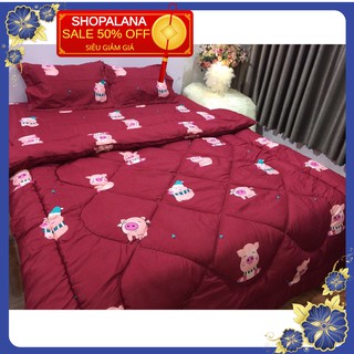 Free ship Chăn phao trần bông dày 1m8x2m hình heo đỏ