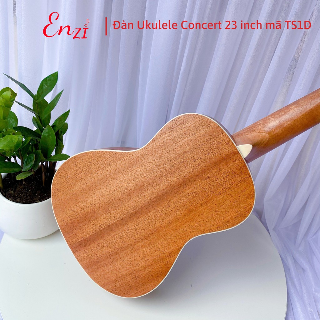 Đàn ukulele concert TS1D Enzi 23 inch gỗ mộc trơn khóa đúc giá rẻ cho bạn mới bắt đầu tập chơi