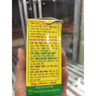 Siêu ra hoa đậu trái super