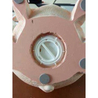 Lợn đất tiết kiệm 3D cực đẹp (hàng có sẵn)