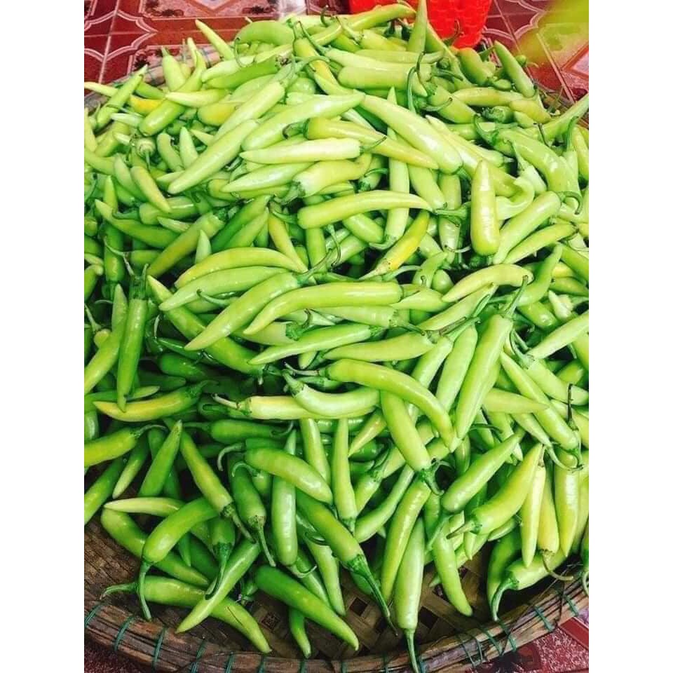 500g Ớt xanh tươi rất thơm và cay đúng vị Huế