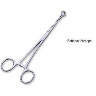 Panh babcock