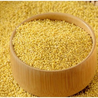 Hạt kê nếp vàng hữu cơ hạt to 1kg