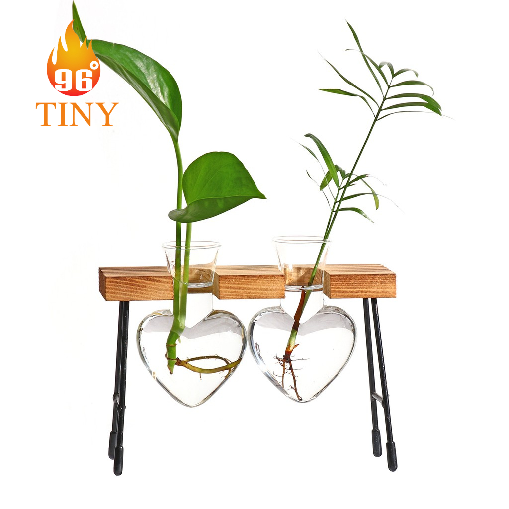 Lọ thủy tinh hình trái tim cắm hoa, trồng cây thủy sinh có khung gỗ và chân đế kim loại