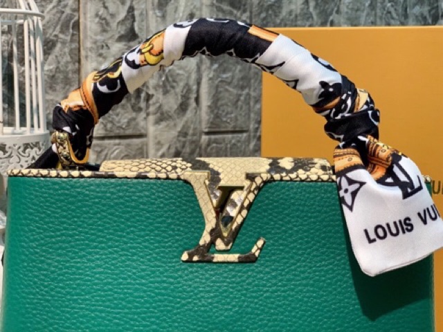 Túi Louisvuitton capuchino