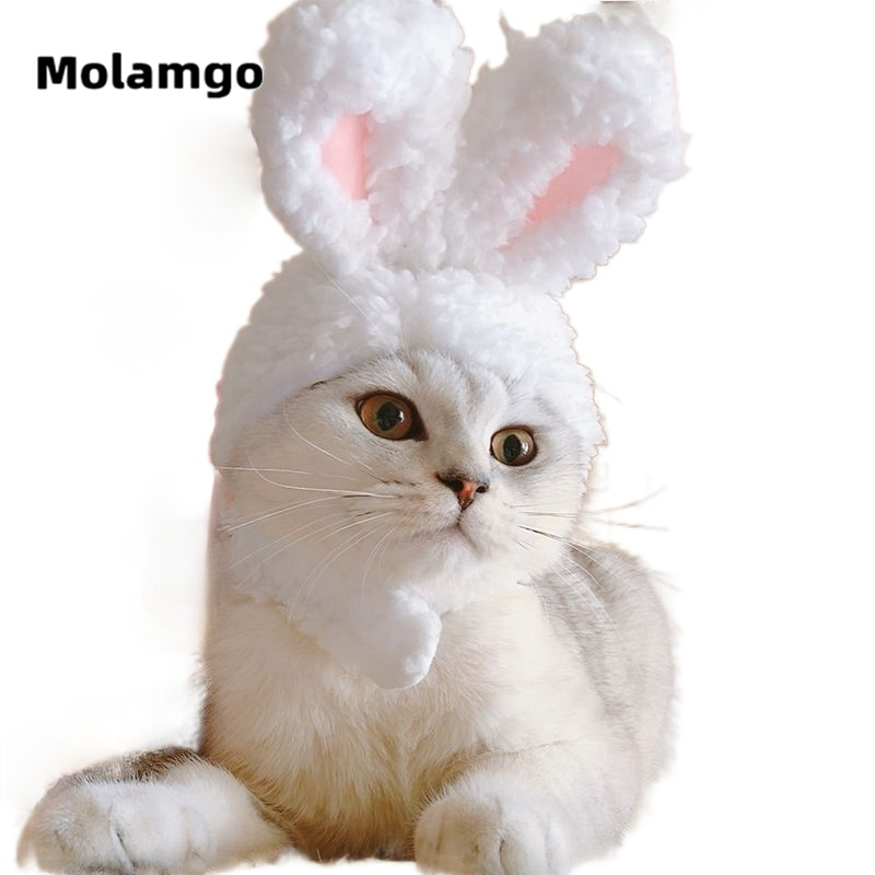 MOLAMGO  Mũ Tai Mèo Đáng Yêu Cho Thú Cưng mũ cho chó mèo