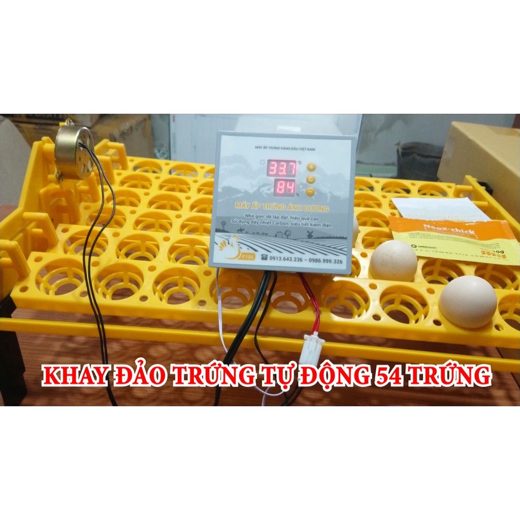 - Máy ấp trứng mini Ánh Dương P100 + 1 khay đảo tự động 54 trứng - Tặng kèm gói úm gà