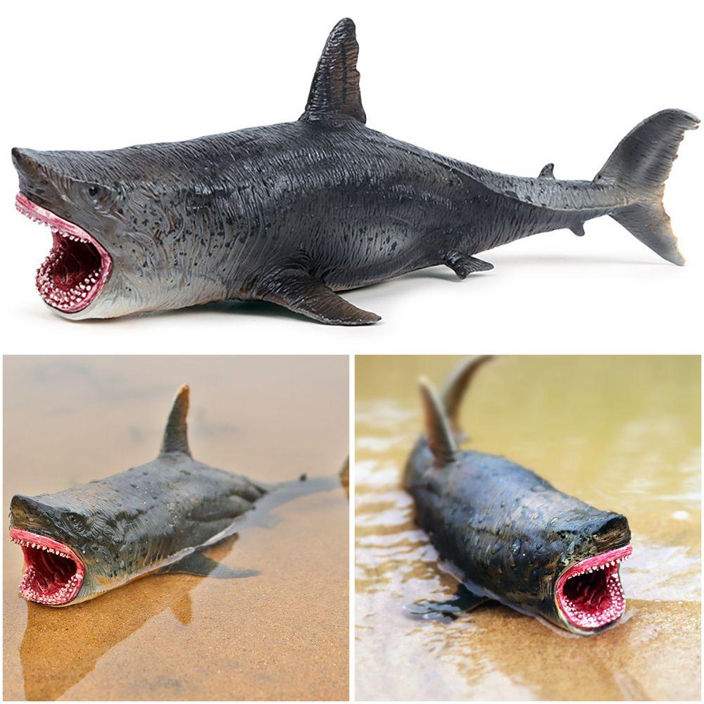 Mô Hình Megalodon Đồ Chơi Nhận Biết Giáo Dục Sớm Cho Bé