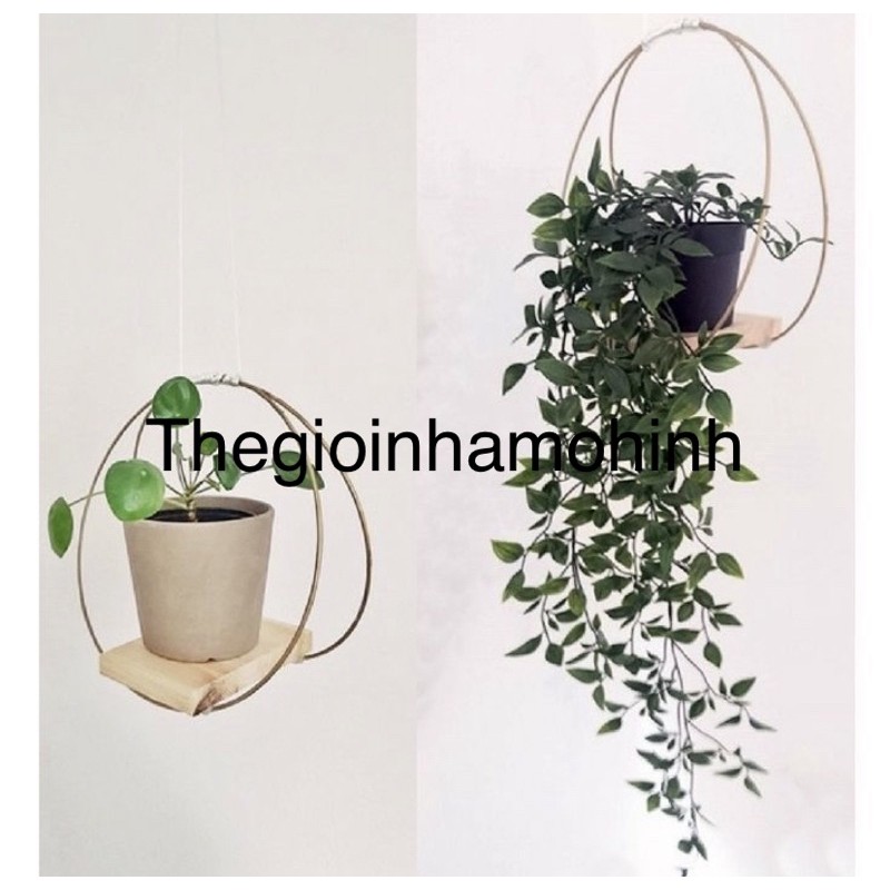 Giá treo cây hợp kim, kệ treo trang trí , kệ treo cây cảnh, decor, trang trí