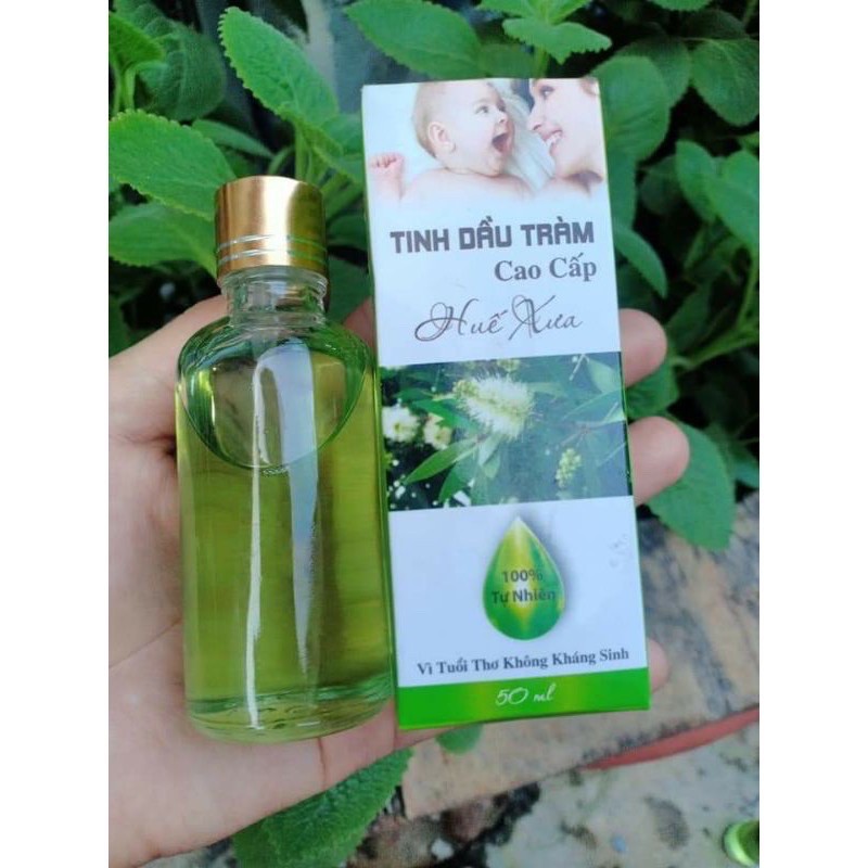 Tinh dầu tràm xanh tinh khiết nguyên chất Huế Xưa 50ml
