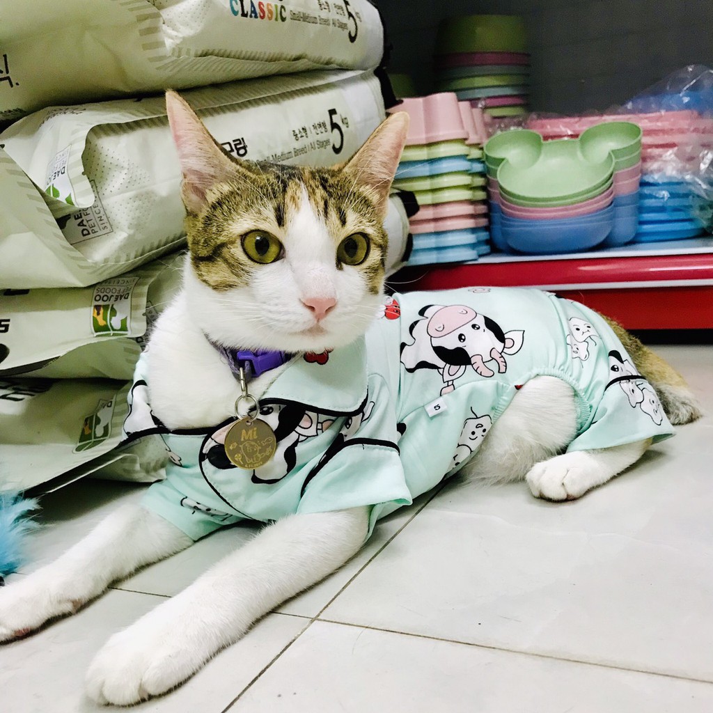 ÁO CHÓ MÈO - BỘ PIJAMA 4 CHÂN DỄ THƯƠNG