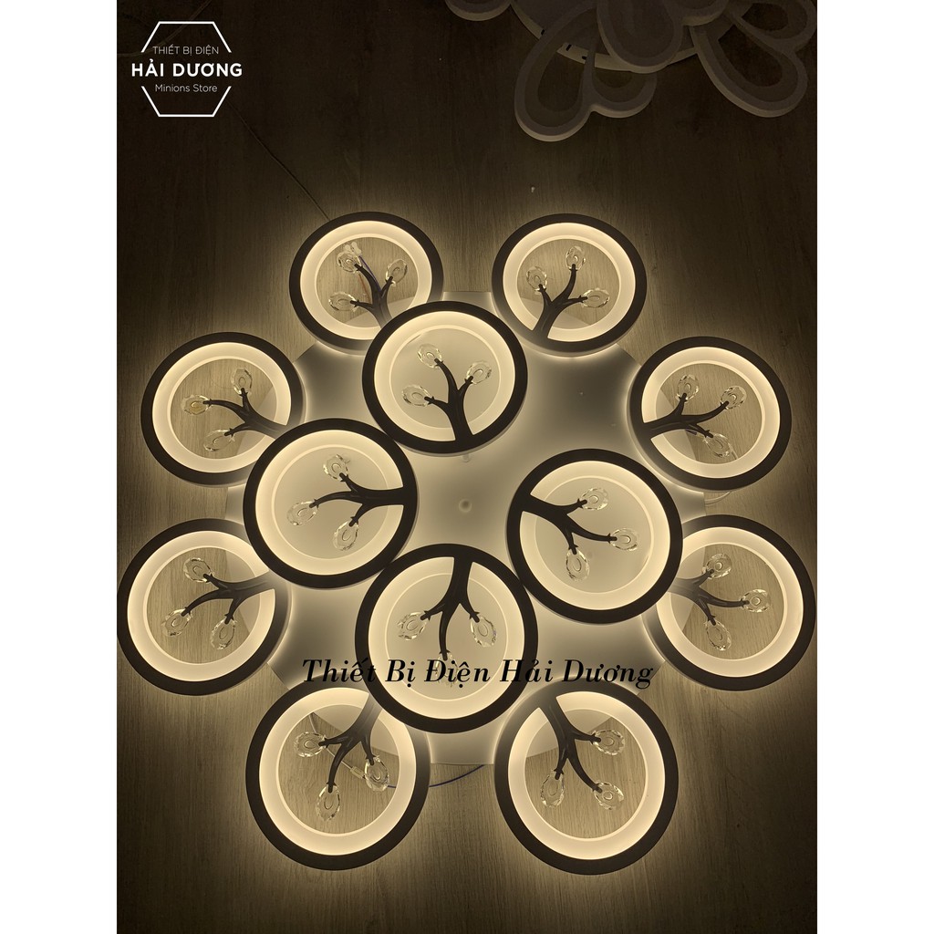 Đèn Ốp Trần Hiện Đại Decor 12 Hoa Pha Lê NT031 - 3 Chế Độ Ánh Sáng - Tăng Giảm Ánh Sáng - Hẹn Giờ Ngủ - Điều Khiển Từ Xa