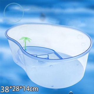 Bể Nuôi Rùa Bằng Nhựa Pvc Tiện Dụng