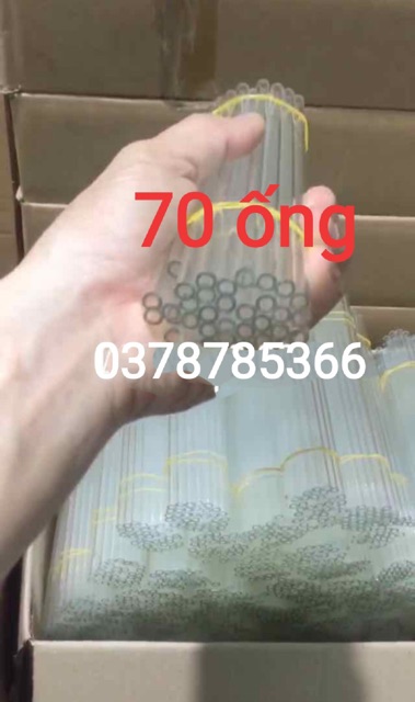 Ống thuỷ tinh thí nghiệm combo 70 trắng
