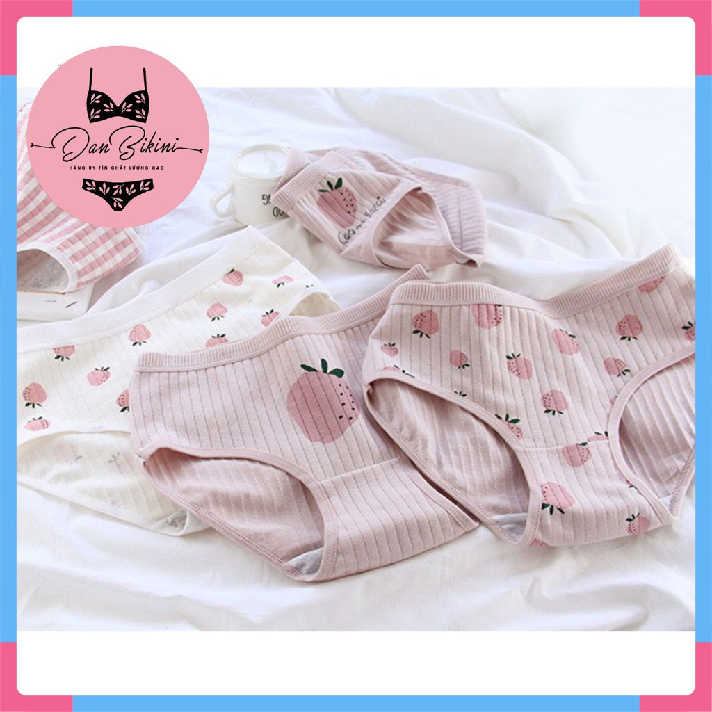 Quần Lót Nữ - Quần Lót Nữ Cotton gân tăm hình dâu tây kháng khuẩn mềm mại DAN STORE Mã 671