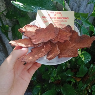 Thổ Phục Linh - 100g