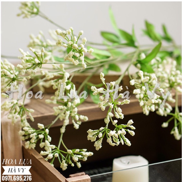 Hoa lụa | HOA TAM GIÁC MẠCH NEW