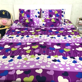 combo khách 2 bộ m6 ko mền