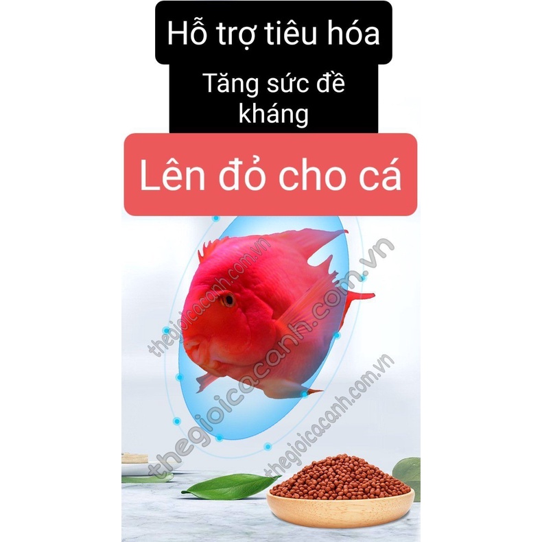 Thức ăn cá hồng két Yee lên màu đỏ hủ 280g