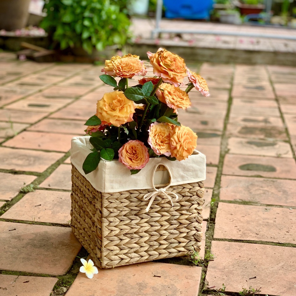 - Giỏ đựng đồ lục bình hình vuông, có thể gấp gọn