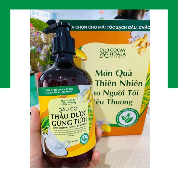 Dầu gội 🍀FREESHIP🍀 Dầu gội thảo dược gừng dừa Cocayhoala đánh bay gàu, giảm ngứa dung tích 440g/chai