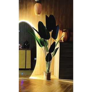 Cây chuối giả 2m