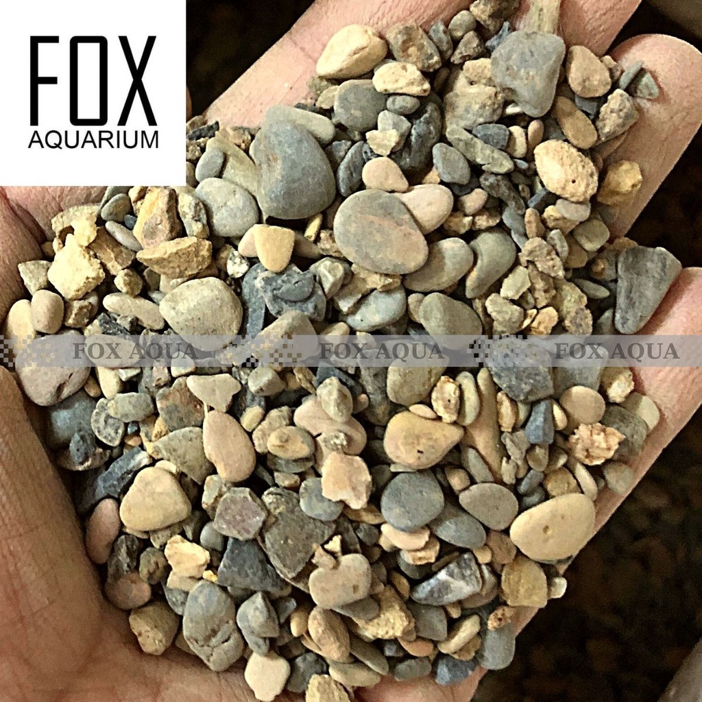Sỏi Sạn Suối 1kg - Trải Nền Trang Trí Bể Cá, Bể Thủy Sinh