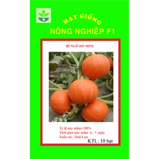 gói 10 hạt giống bí ngô đỏ mini