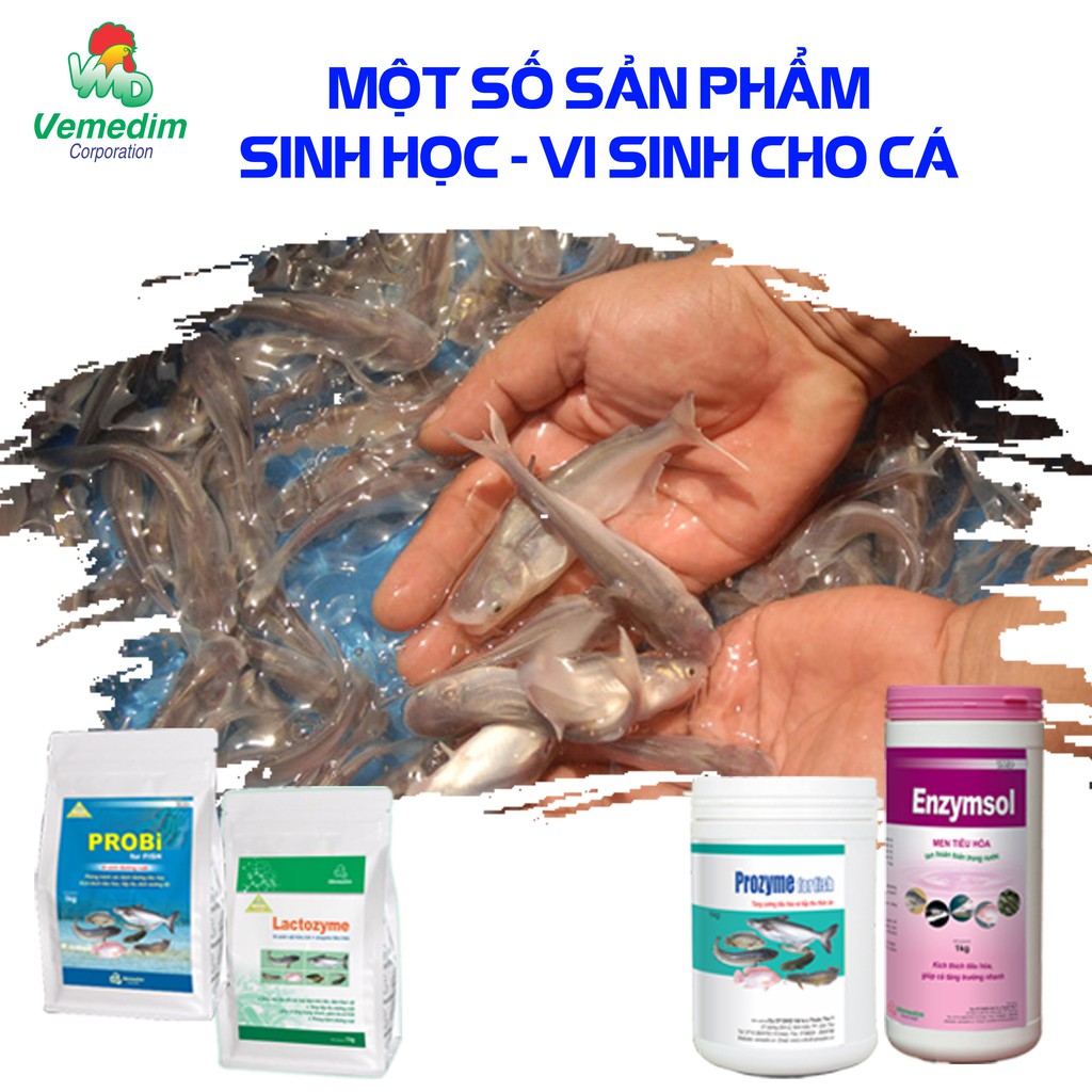 Vemedim Anti-Shock cá dùng bổ sung vitamin cho cá, lon 1kg