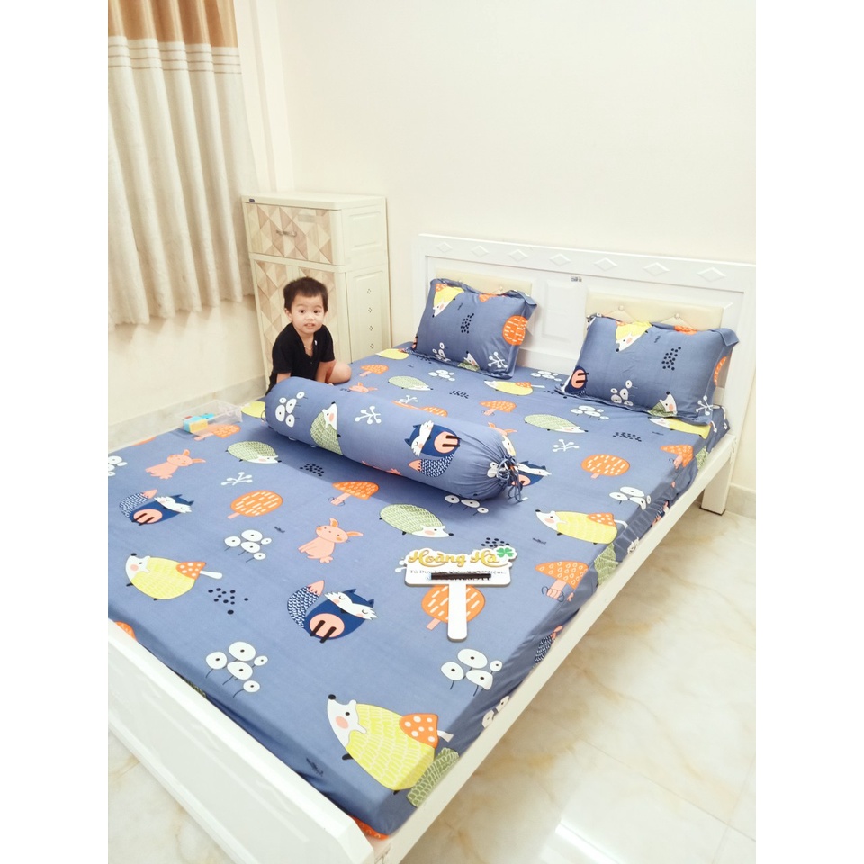 Drap thun Hàn quốc đủ size