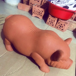 Heo đất tiết kiệm trưng bày