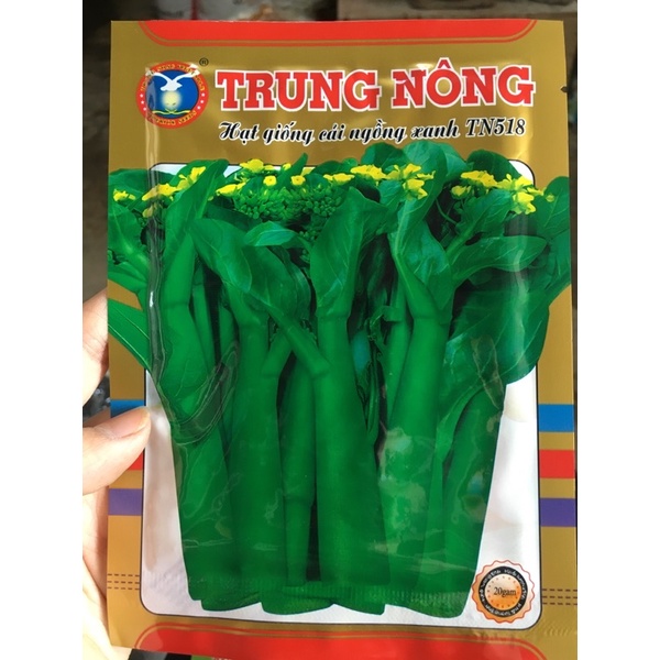 Hạt giống Cải Ngồng Cao sản 20gr (ngon giòn, ngọt)