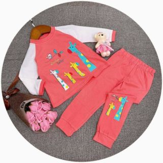 Combo 6 bộ thu đông bé gái