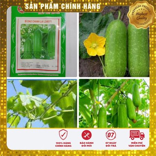 Hạt Giống Bí Đao Chanh - 0,5gr