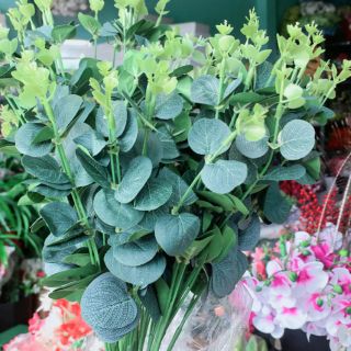 Cụm lá táo xịn 25k/cụm