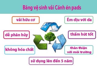 Băng vệ sinh vải ban đêm