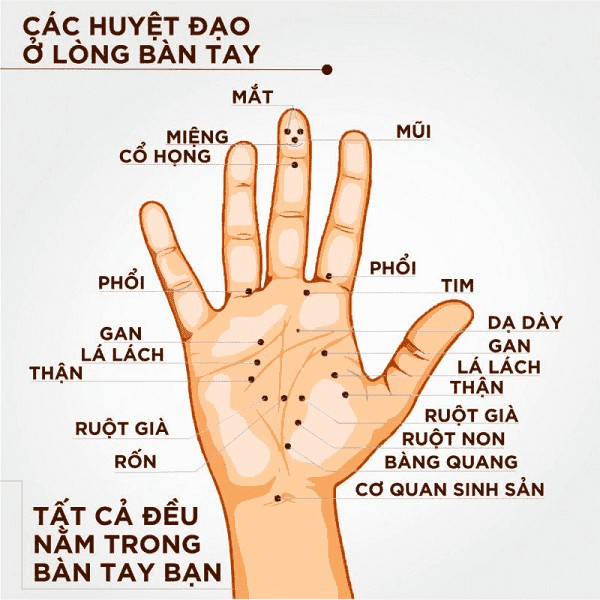 ( Mt - Shop ) Nhẫn Massage Ngón Tay