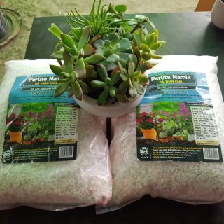 Combo 2 gói đá Perlite Namix ( đá trân châu) 5 lít/gói.  80k