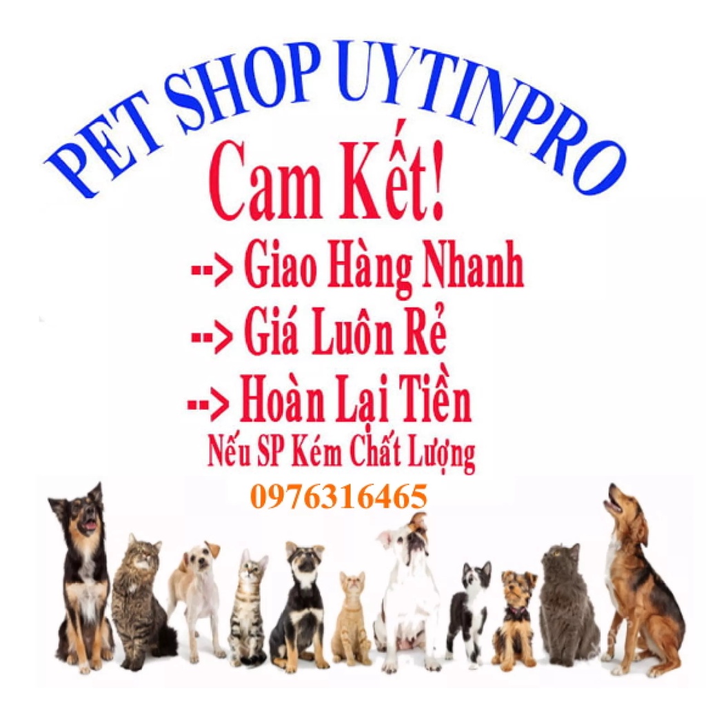 5 Gói Thức ăn hạt cho Mèo con PRO-CAT KITTEN Gói 400g Xuất xứ Pro-Pet Việt Nam Bổ sung dinh dưỡng hoàn chỉnh cho Mèo