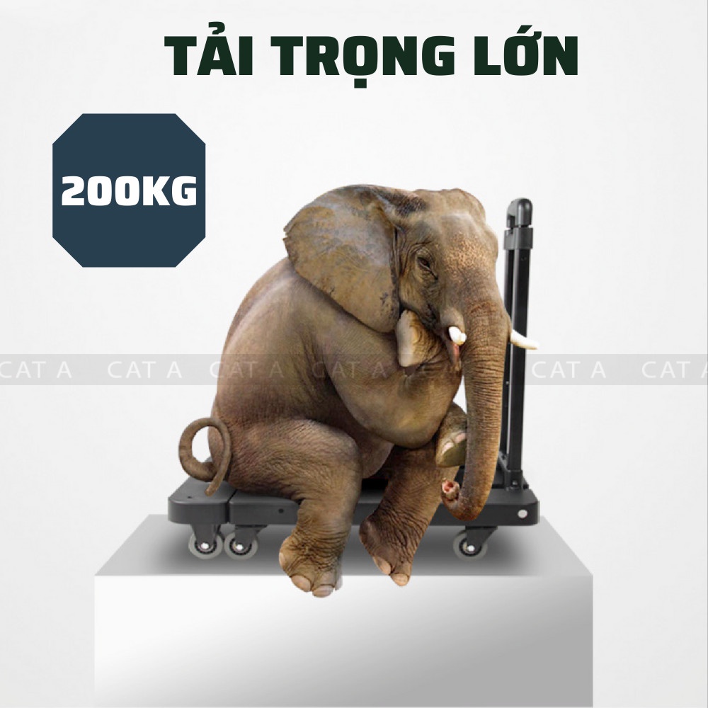 Xe Kéo 6 Bánh Hàng Nhập Khẩu Gấp Gọn Siêu Tải Trọng 200kg